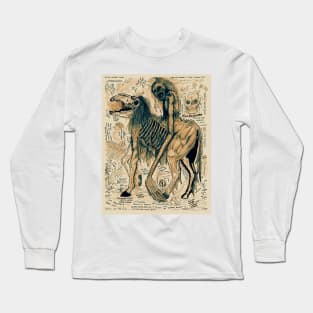 Nuckelavee - Wilting Long Sleeve T-Shirt